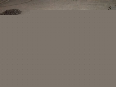 Элеваторы ковшовые. Нории